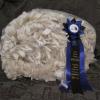 Beautiful award winning fleece